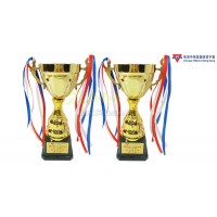 獎盃-香港中華基督教青年會顯徑會所