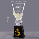 Creative Color-Changing Crystal Trophy