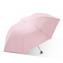 Folding Umbrella