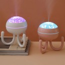 Lamp Humidifier