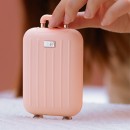 Luggage Compartment Mobile Power Supply Hand Warmer