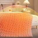 Thick Water Heating Electric Blanket