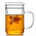 Glass Cup with Infuser