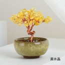 盆景水晶树