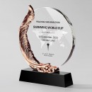 Metal Crystal Trophy