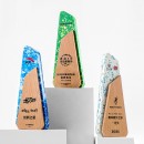 Environmental Protection Award