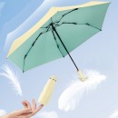 Foldable Umbrella