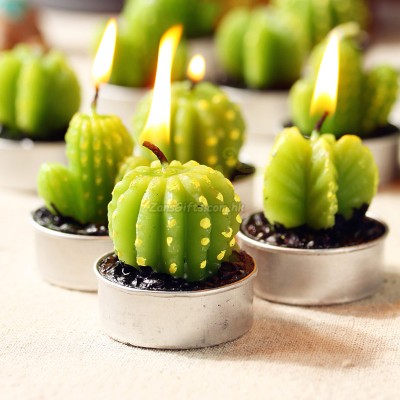 Cactus Candles Gift
