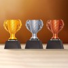 Gold/Silver/Bronze Trophy