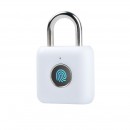 Fingerprint Travel Lock