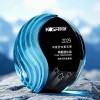 Crystal Trophy Crystal Trophy