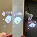 Customizable Mini Projector Lights Customizable Mini Projector Lights