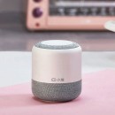 Xiaodu Smart Speaker