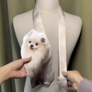 異形領呔可訂製