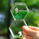 解压熊猫油滴沙漏计时器