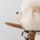 Pet Life Jacket