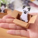 Paper Box Sticky Notes