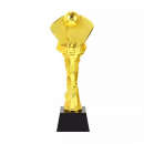 Pickball Trophy
