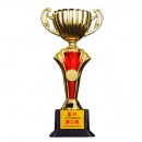 Trophy Cup