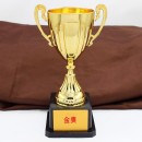 Trophy Cup