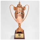 Extra Large Metal Trophy Extra Large Metal Trophy