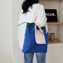 Foldable Eco-Friendly Shopping Bag