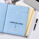Organizer for accordion folders