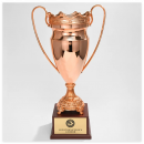 Large Metal Trophy Large Metal Trophy