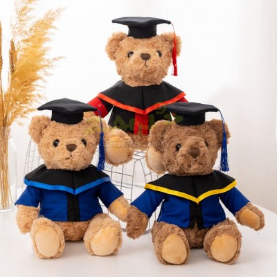 Custom LOGO Graduation Bear