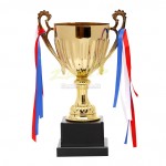 Metal Trophy Cup