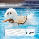 Pet Life Jacket