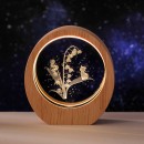 3D Engraved Night Light