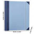 Organizer for accordion folders