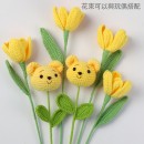 Graduates Knitting Doll Bouquets