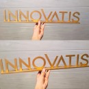 Customized Acrylic 3D Ornaments