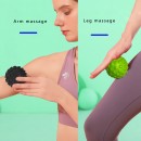 Fascia  Ball