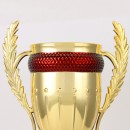 Trophy Cup