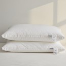 Compressed Pillow core (Pillow)