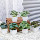 仿真綠植小盆栽