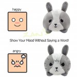Reversible Face Changing Doll