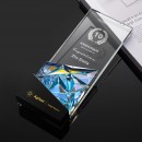 Iridescent Crystal Trophy Iridescent Crystal Trophy
