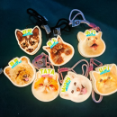 Customizable shapes available for night light pendants