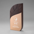 Metal Wood Trophy