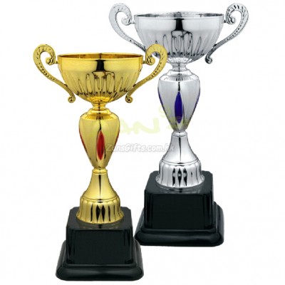 Trophy Cup