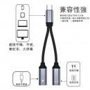 Type-C 2-in-1 Headphone Charging Adapter