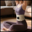 Waist Pulse Massager Waist Pulse Massager