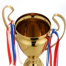 Metal Trophy