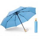 Folding Umbrella