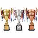 Gold, Silver and Bronze Trophies