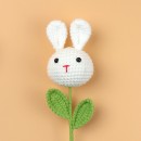 Graduates Knitting Doll Bouquets